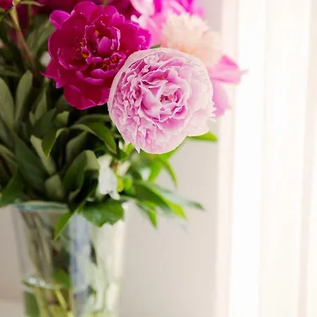 75m2 Kopernik Z Widokiem Na Jasna Gore