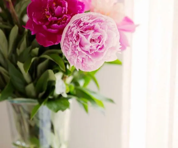 75m2 Kopernik Z Widokiem Na Jasna Gore